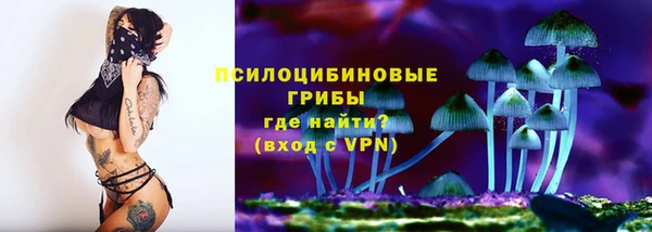 винт Верея