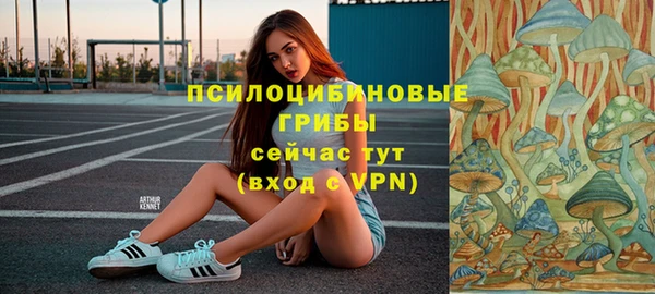 дмт Володарск
