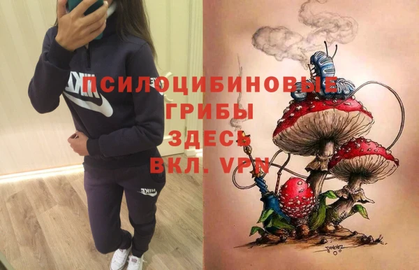 дмт Володарск