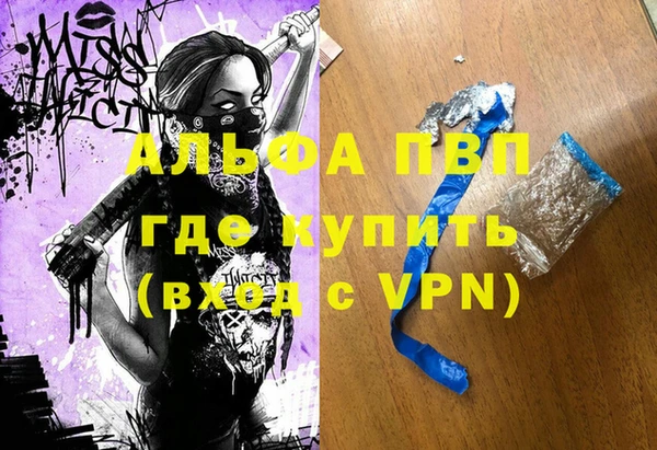 СК Волоколамск